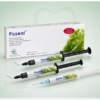 Fisseal