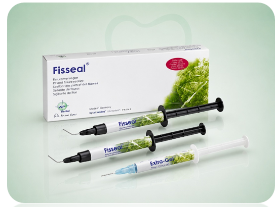 Fisseal