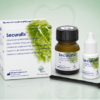 Securafix